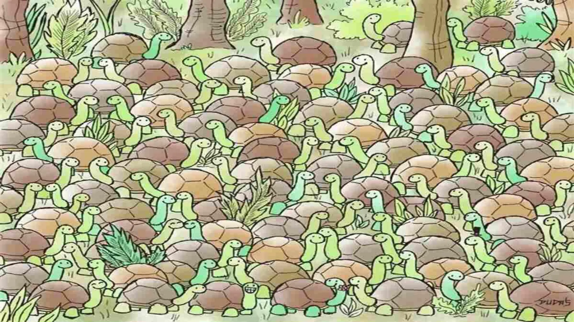 Suchbild Schlange inmitten der Schildkröten