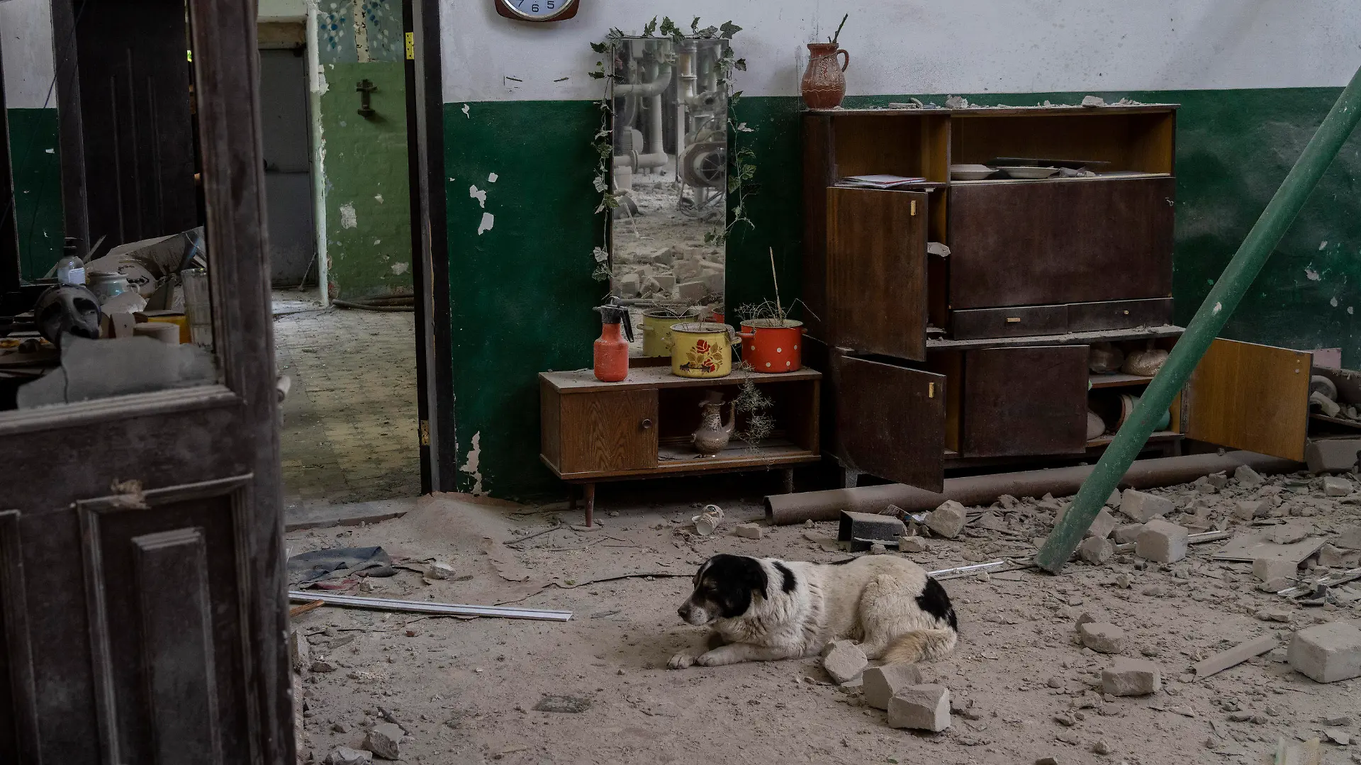 19.05.2022, Ukraine, Charkiw: Ein Hund ruht sich in einem zerstörten Heizungsraum eines Hauses aus, das am frühen Morgen beschossen wurde. Foto: Bernat Armangue/AP/dpa +++ dpa-Bildfunk +++