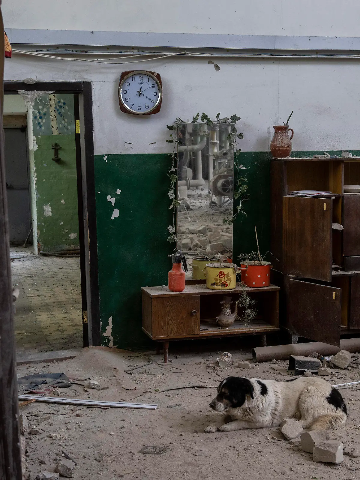 19.05.2022, Ukraine, Charkiw: Ein Hund ruht sich in einem zerstörten Heizungsraum eines Hauses aus, das am frühen Morgen beschossen wurde. Foto: Bernat Armangue/AP/dpa +++ dpa-Bildfunk +++