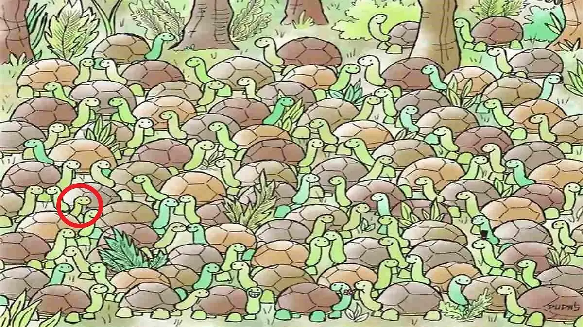 Suchbild Schlange Schildkröten