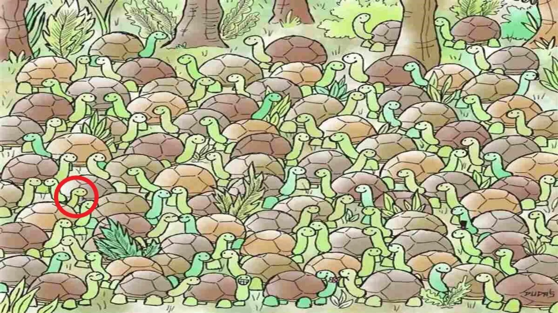 Suchbild Schlange Schildkröten
