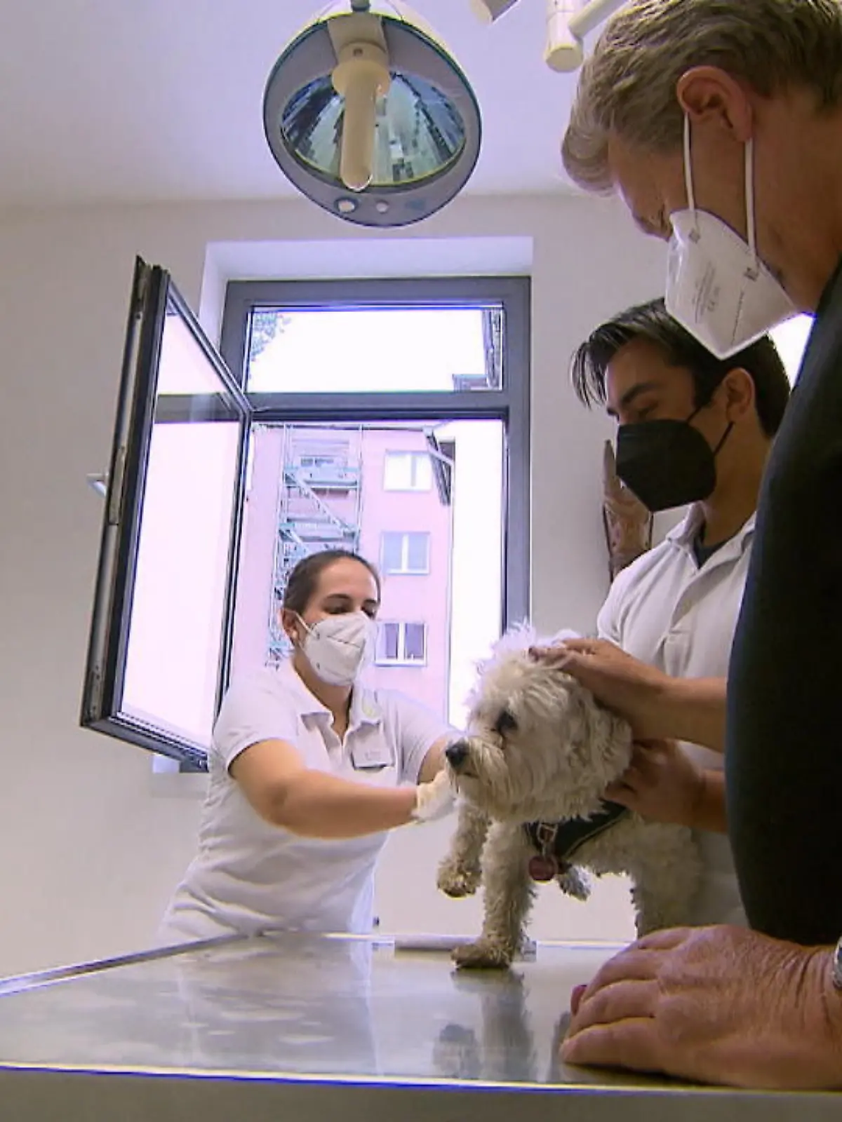 Bild zu: "Großkonzerne kaufen Tierarztpraxen"