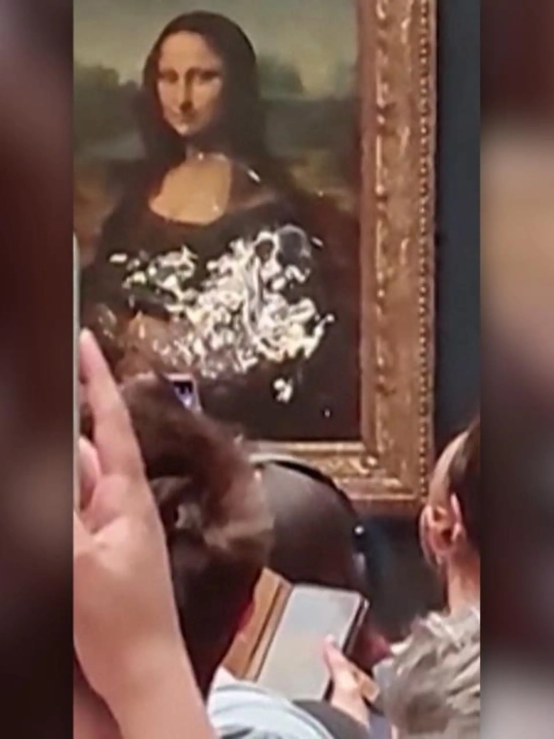 In Paris hat ein Mann eine Torte auf das berühmteste Gemälde der Welt geworfen. Die Mona Lisa beschädigte der Angreifer jedoch nicht. Seit mehreren Jahren wird das Bild durch eine Panzerglasscheibe geschützt. Was hinter dem Angriff steckt, erfahren Sie im Video.