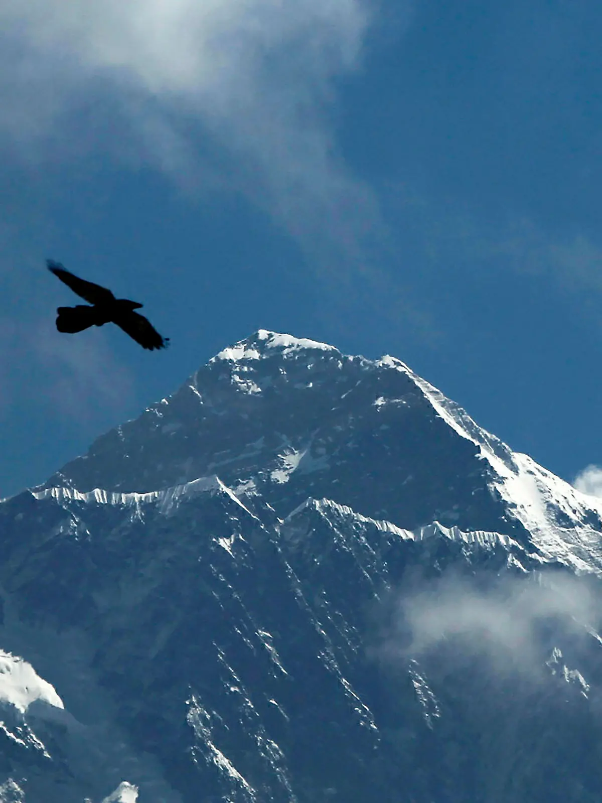 ARCHIV - 27.05.2019, Nepal, Solukhumbhu: Dieses Bild vom 27. Mai 2019 zeigt einen Vogel, der vor dem Mount Everest vorbeifliegt. Ein Hubschrauber mit sechs Menschen an Bord ist im Himalaya abgestürzt. Die Leichen der fünf mexikanischen Touristen und ihres nepalesischen Piloten seien in dem Wrack nach dem Absturz in der Nähe des welthöchsten Bergs Mount Everest gefunden worden, sagte ein Polizeisprecher der Deutschen Presse-Agentur. Foto: Niranjan Shrestha/AP/dpa +++ dpa-Bildfunk +++