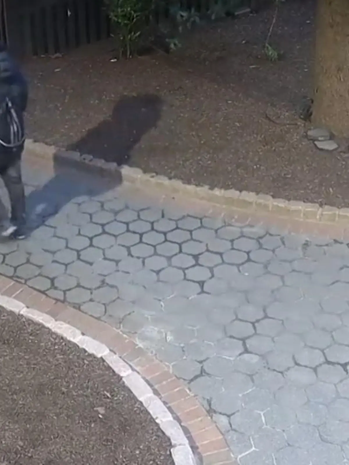Wie herzlos kann ein Mensch sein: In Manhattan hat ein Dieb eine 90 Jahre alte Frau ausgeraubt. In der Nähe des Central Parks verfolgte der Unbekannte die Dame, schnappte sich ihren Geldbeutel aus dem Rollator – und rannte davon. Wir zeigen die Szene im Video.