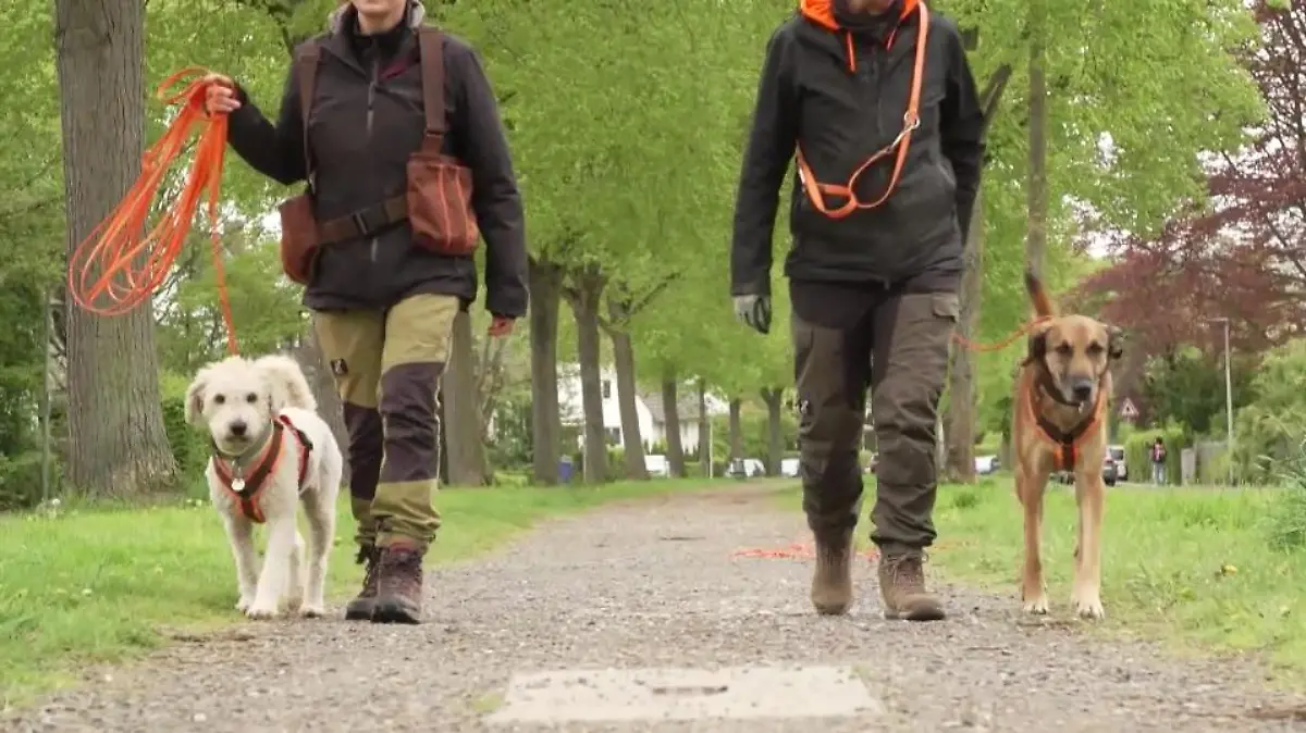 Milo und Ip auf Streife.