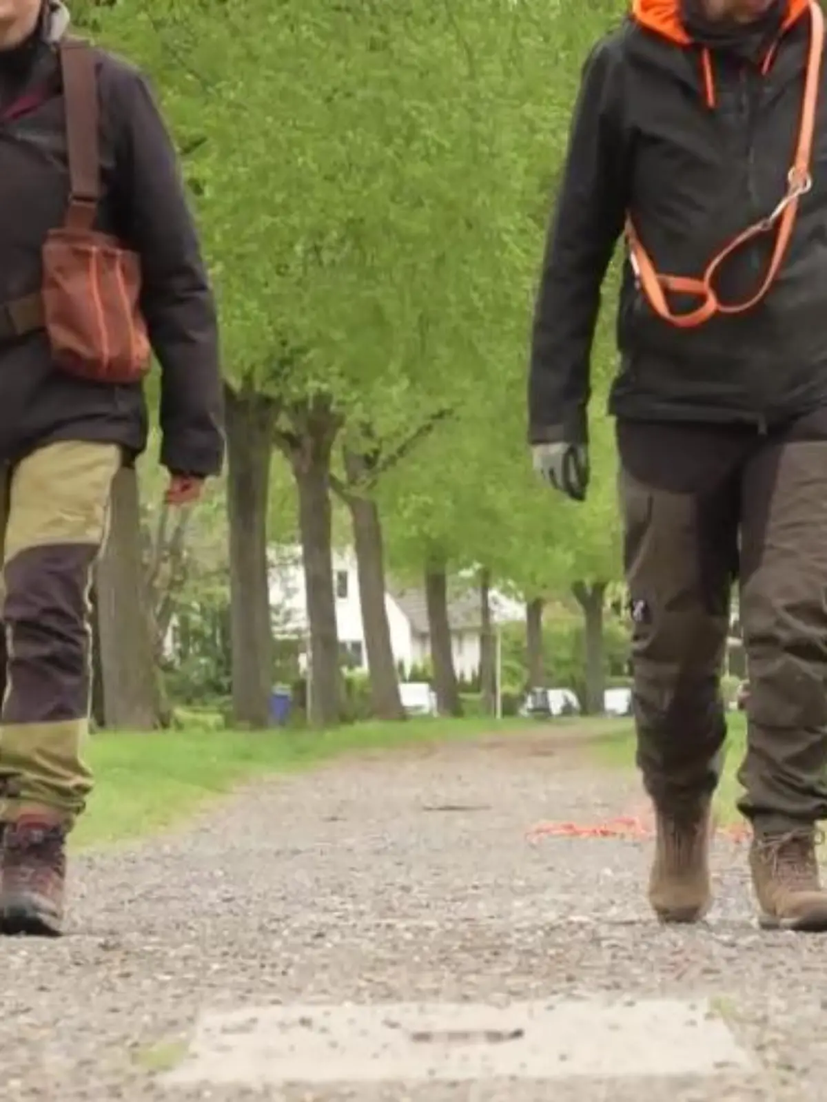 Milo und Ip auf Streife.