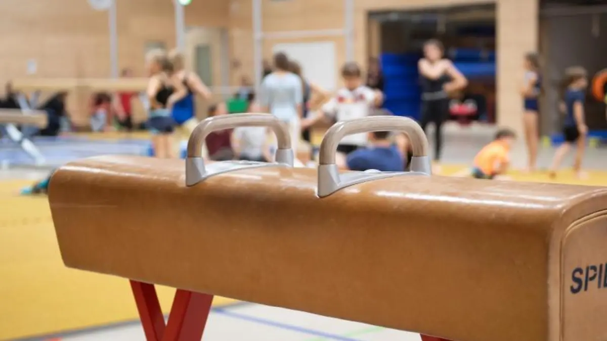 Ein Pauschenpferd steht im Sportunterricht in einer Turnhalle