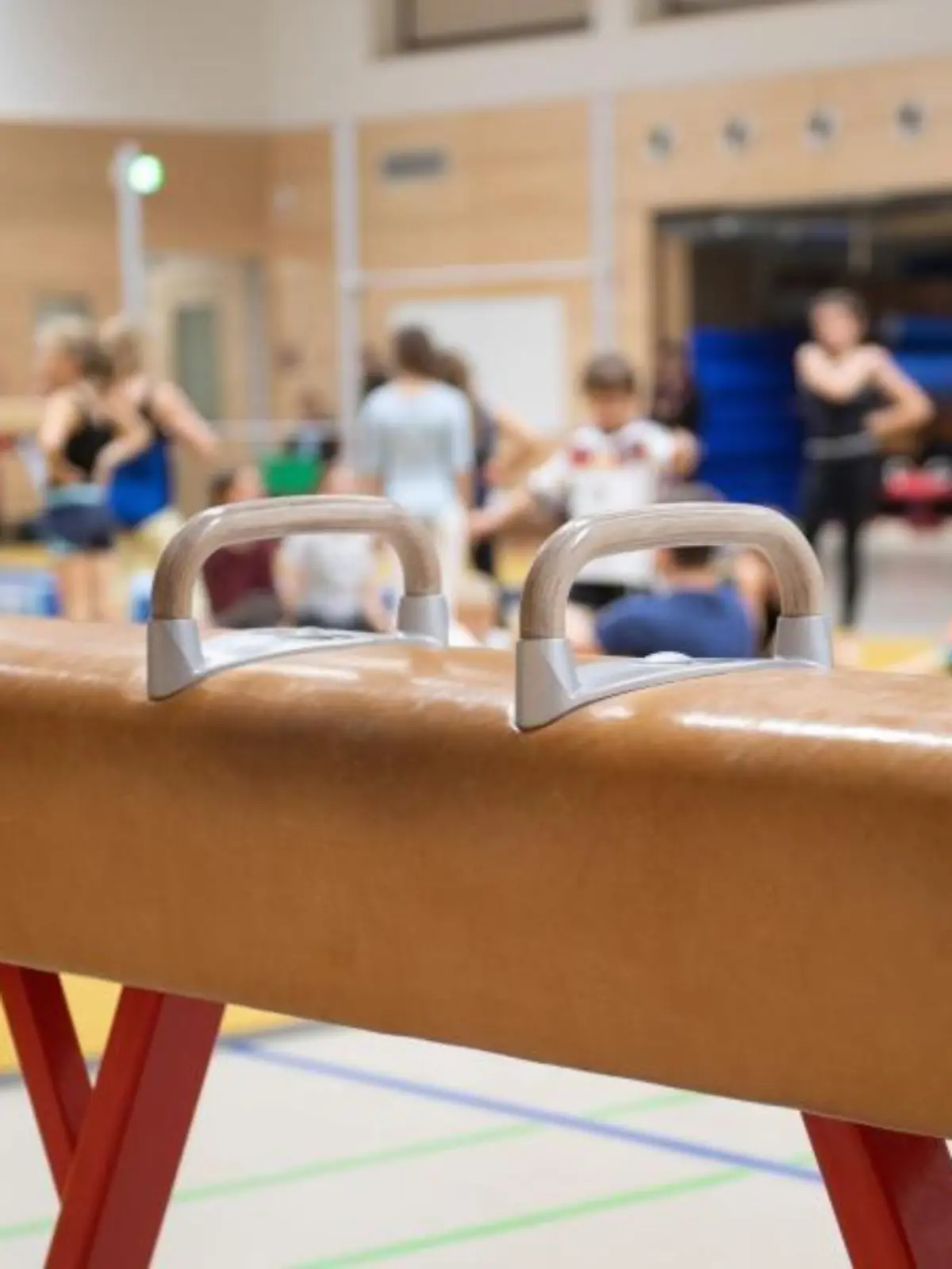 Ein Pauschenpferd steht im Sportunterricht in einer Turnhalle