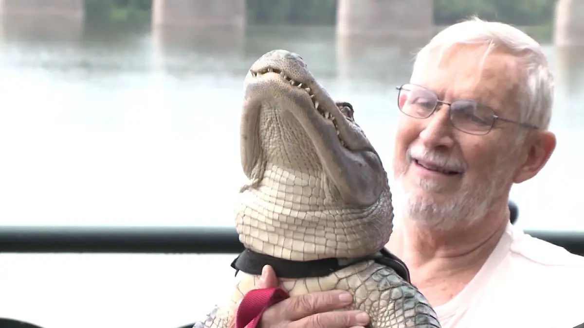 Joie Henney und sein zahmer Alligator Wally. Die beiden waren ein Herz und eine Seele.
