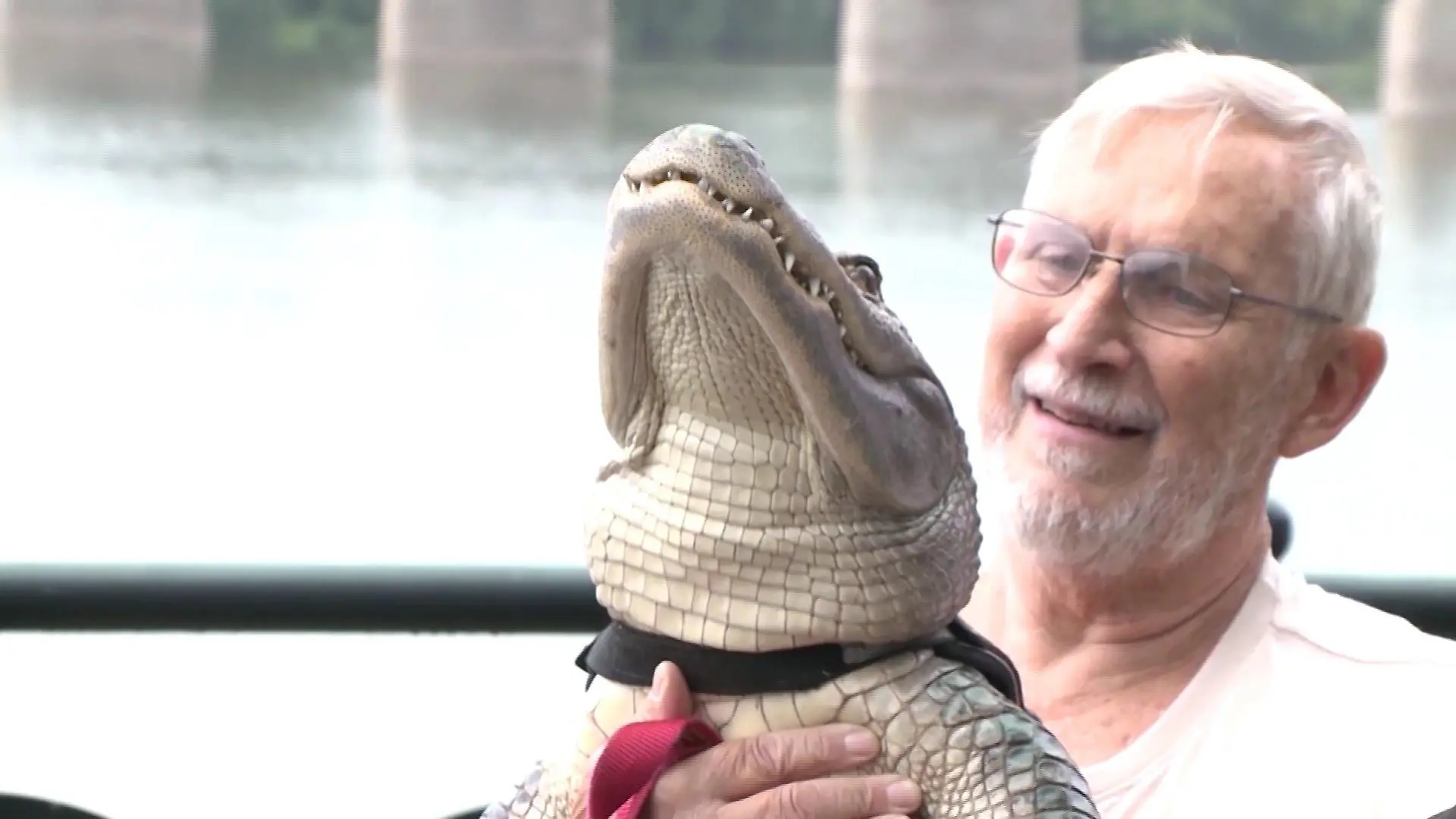 Joie Henney und sein zahmer Alligator Wally. Die beiden waren ein Herz und eine Seele.
