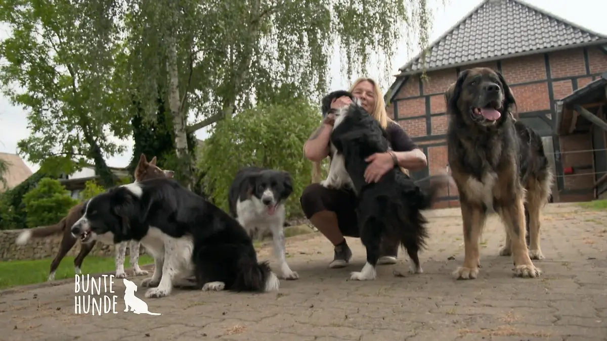 Tanja hat fünf Border Collies Hofbesitzerin