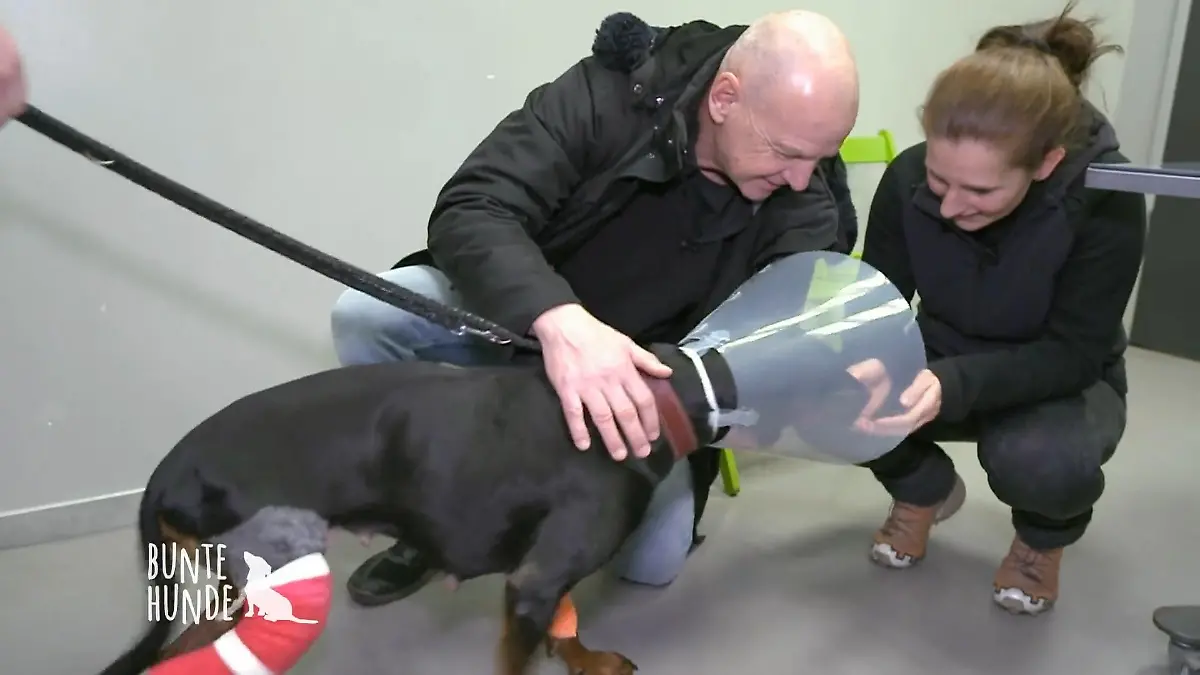 Leila kommt nach Hause Nach Operation