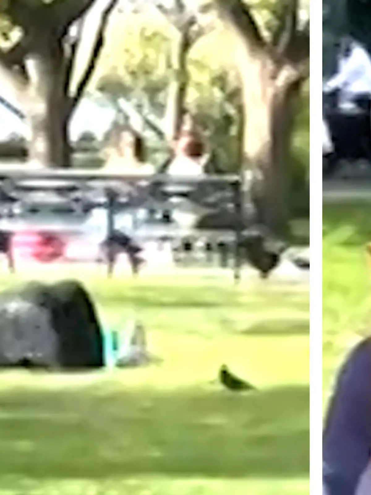 Die Sonne scheint, der Park ist voll und mitten drin ein Pärchen, das die Lust aufeinander nicht zügeln kann. Also lassen sie ihren Gefühlen freien Lauf. Eine Decke erfüllt dabei ihre Aufgabe und bedeckt die Liebenden – unentdeckt bleiben sie dennoch nicht. Die schlüpfrigen Bilder seht ihr im Video.