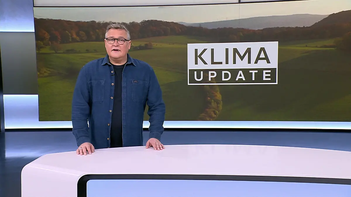 Klimawandel spielt Kriebelmücke in die Karten Insekt breitet sich in Deutschland aus