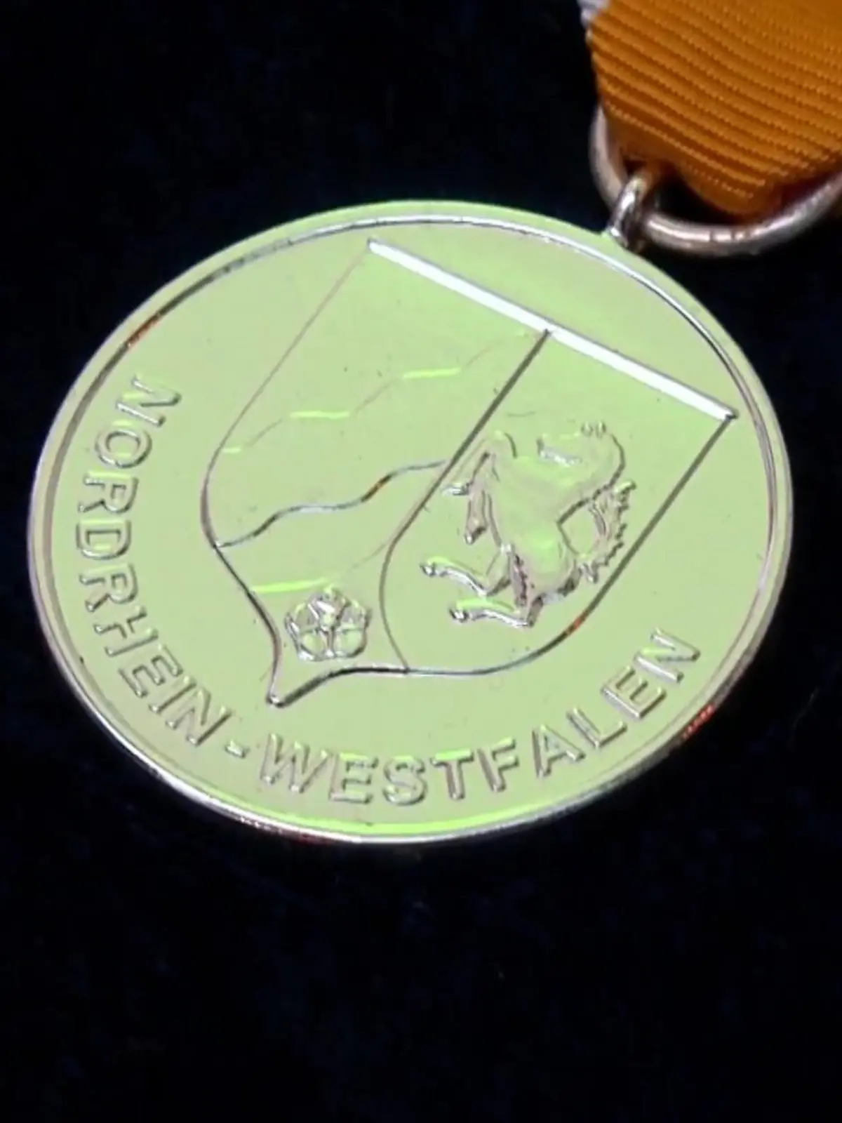 Bild zu: "Helden erhalten Medaille"
