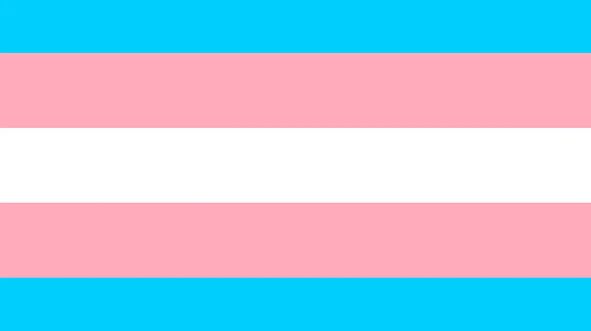 Transgender pride community flag, LGBT symbol. Sexual minorities identity. Vector illustration