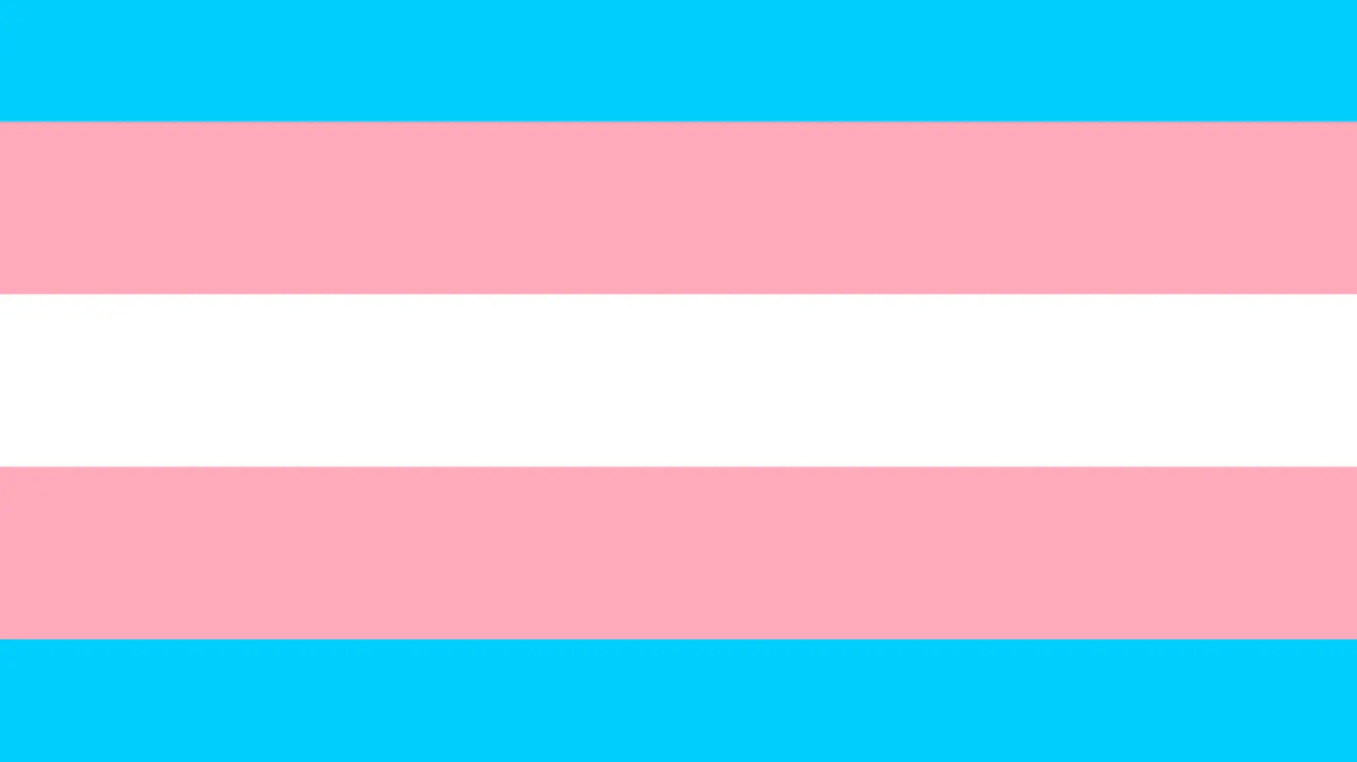 Transgender pride community flag, LGBT symbol. Sexual minorities identity. Vector illustration