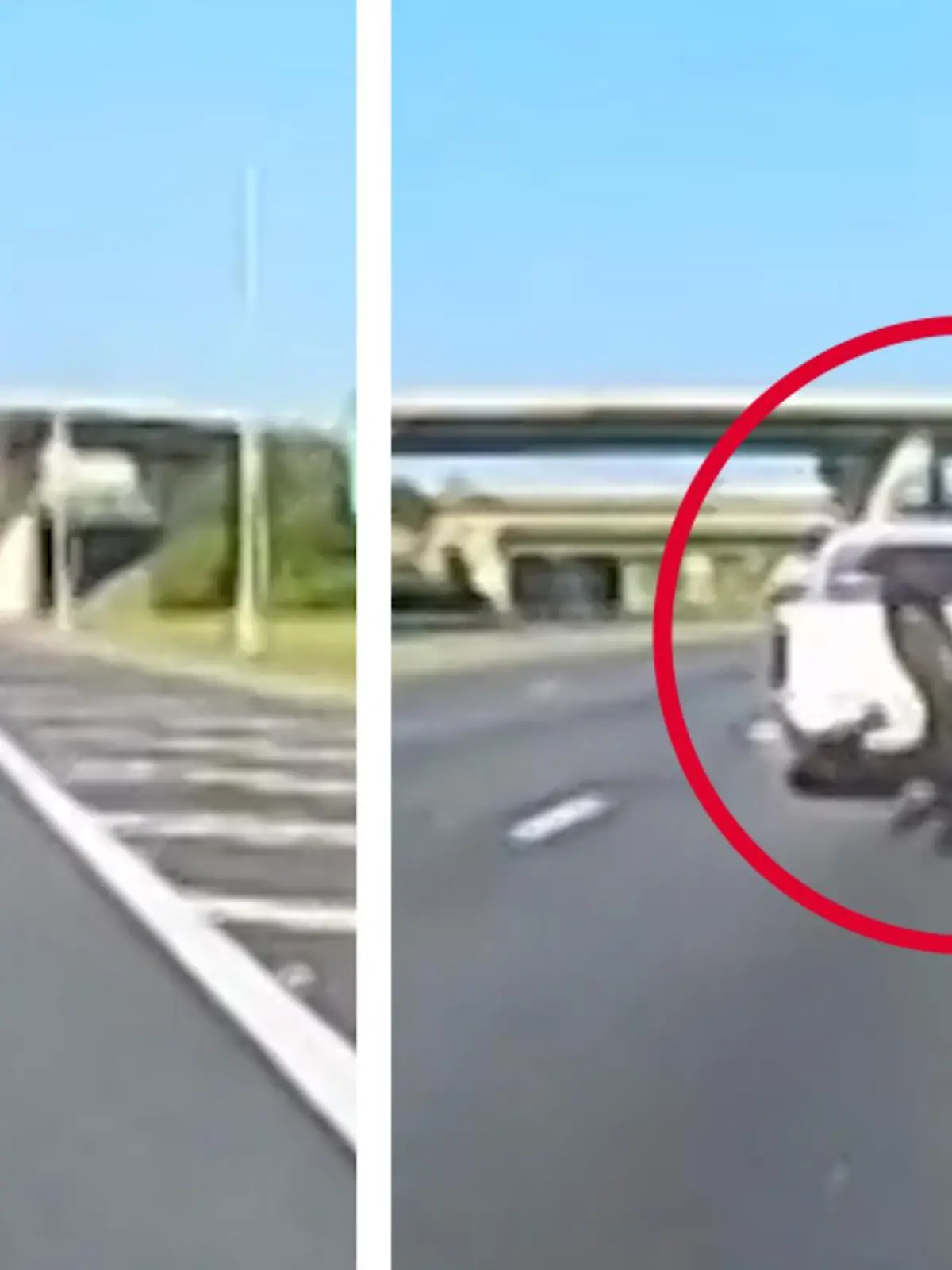Ein Motorradfahrer aus Florida scheint es mit den Geschwindigkeitsbegrenzungen nicht ganz so ernst zu nehmen. Er heizt regelrecht über den Highway. Warum sein Übermut ihm dabei fast zum Verhängnis wird, erfahrt ihr im Video.