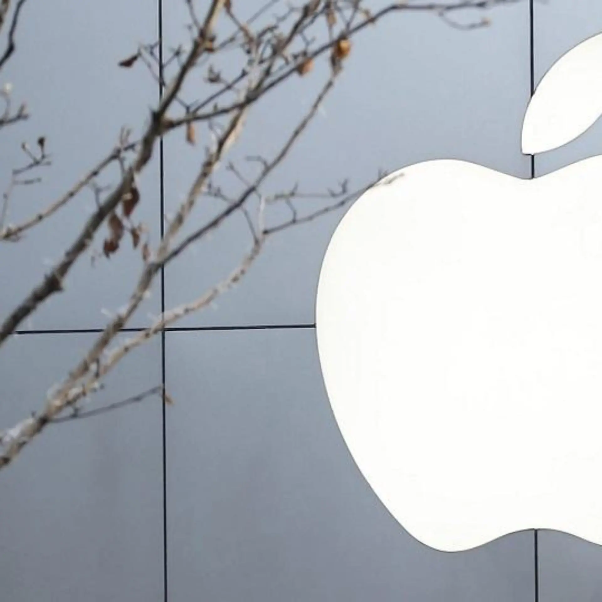 Apple Bild zu: "Apple"