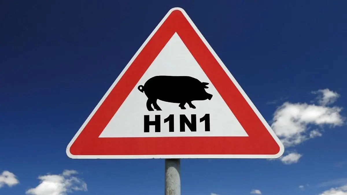 schweinegrippe-t4130