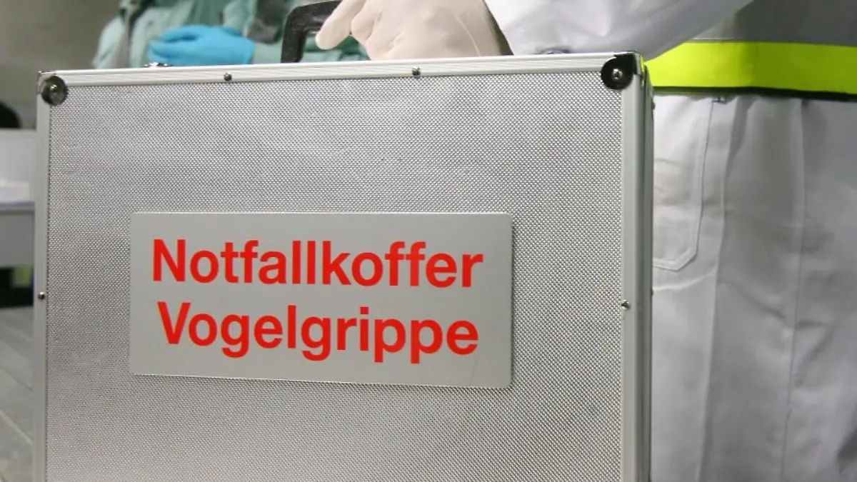 vogelgrippe-t4131