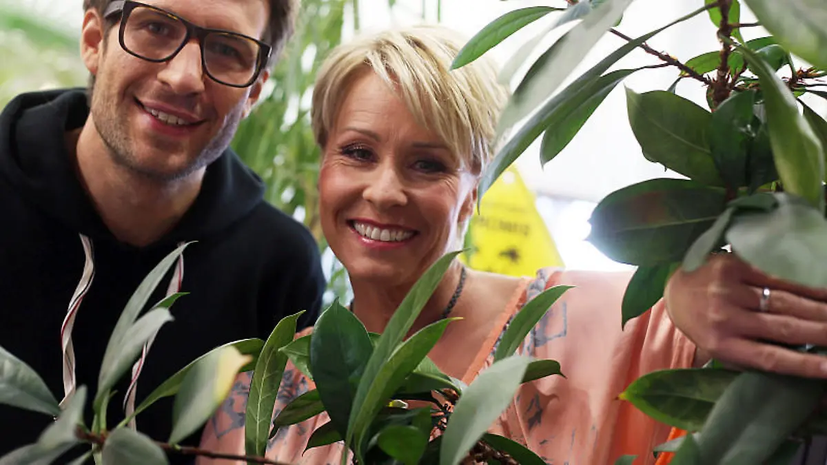 dschungelcamp-2013-t4462