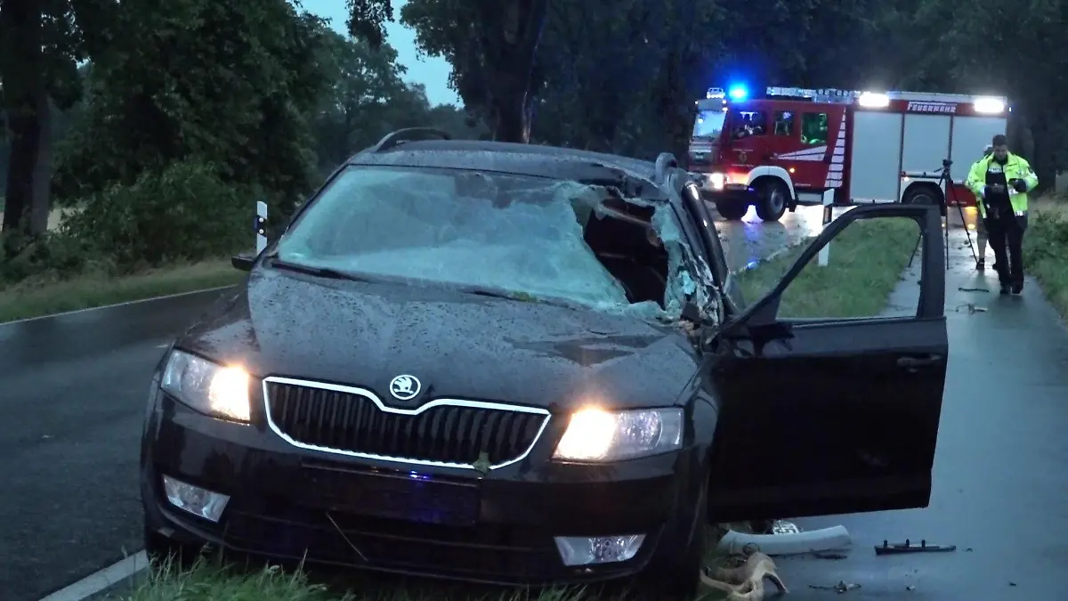 Auf der Hauptstraße in Hude (Niedersachsen) wurde der PKW von einem Baum getroffen. Ein Ast durchbohrte die Windschutzscheibe.