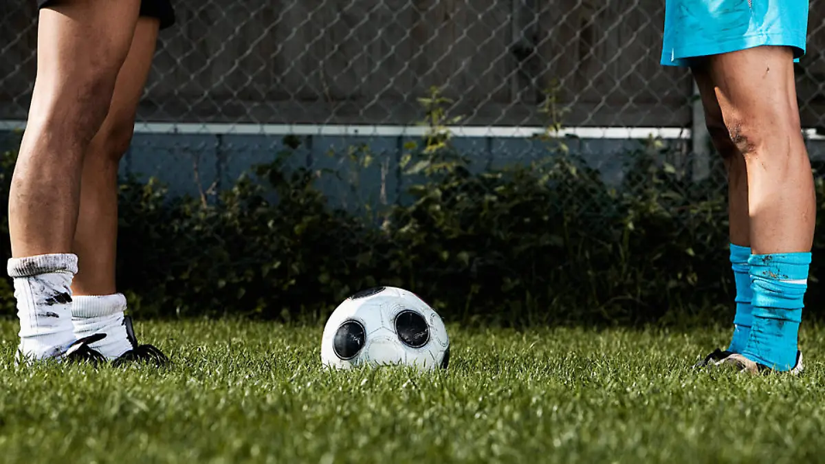 sport-t8614