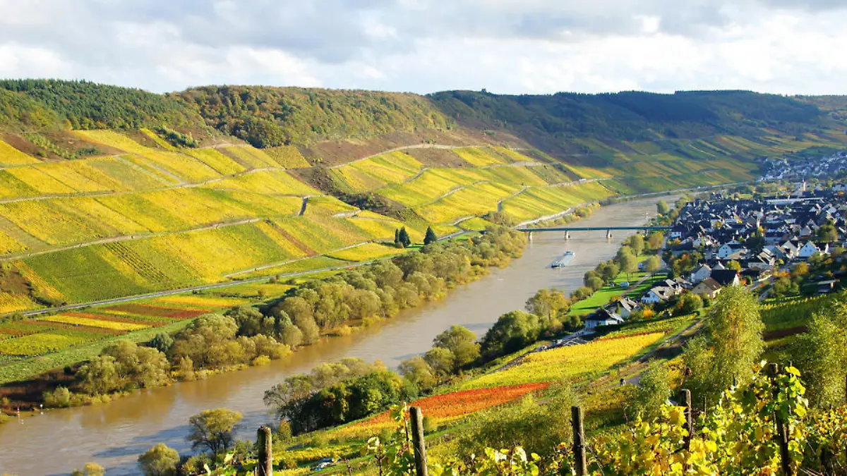 rheinland-pfalz-t8634