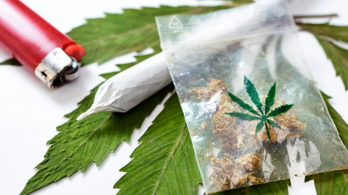 cannabis-t9064