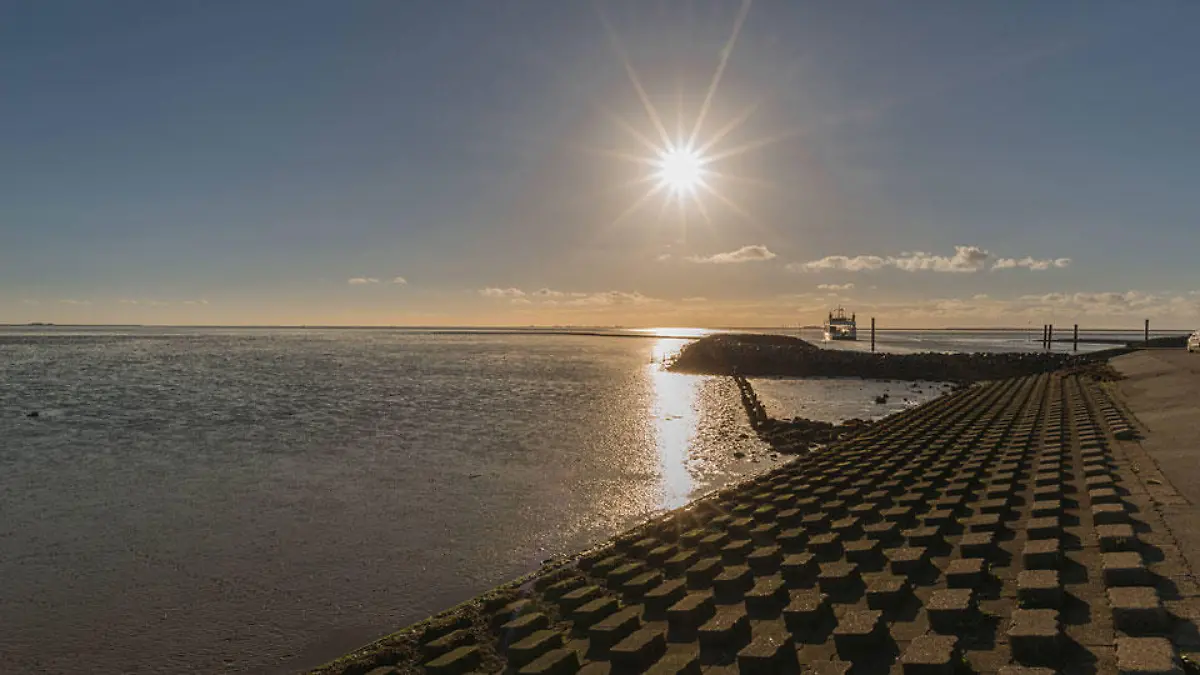nordsee-t9099