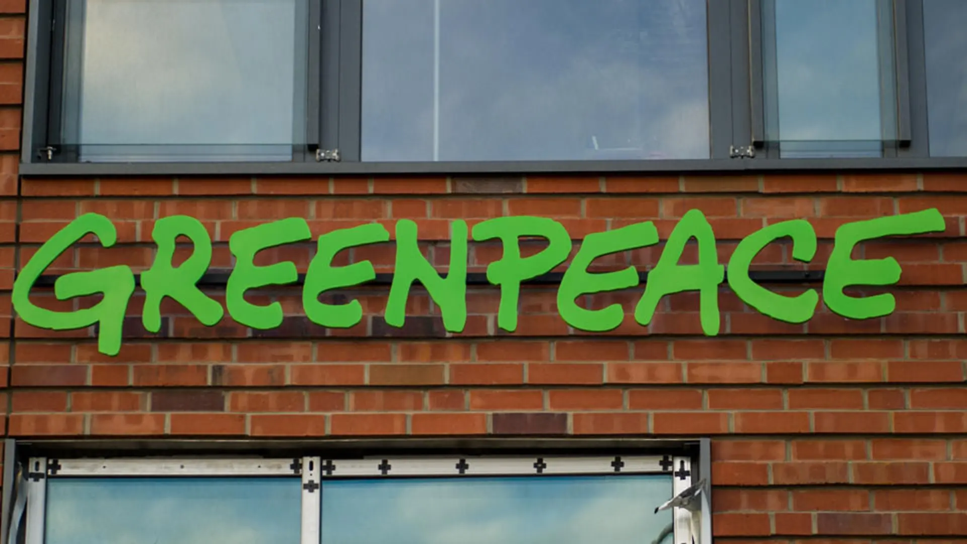 greenpeace-t9434