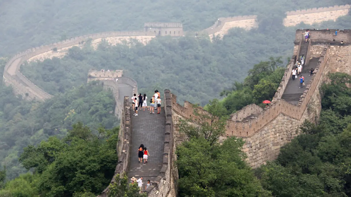 peking-t9543