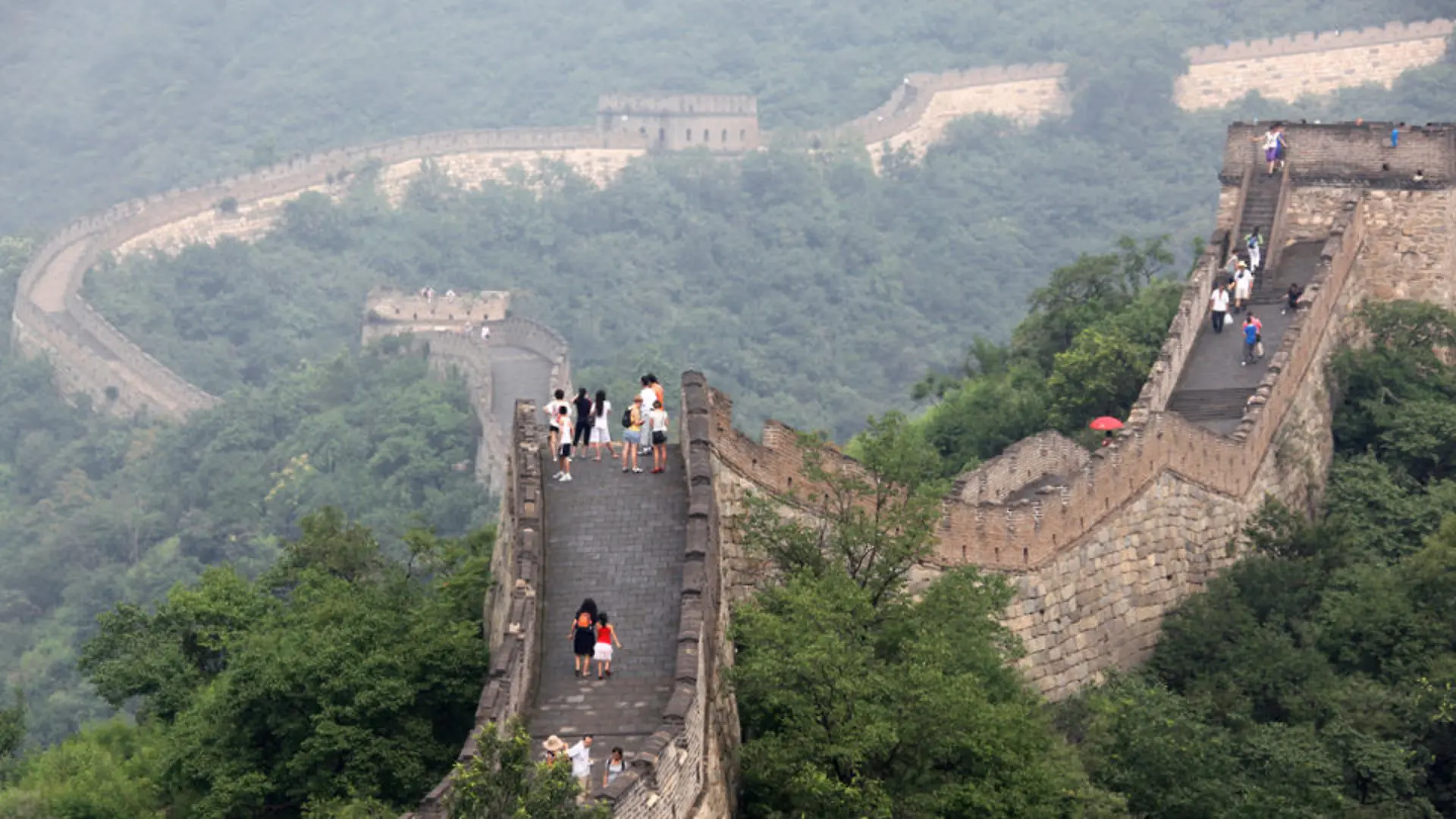 peking-t9543