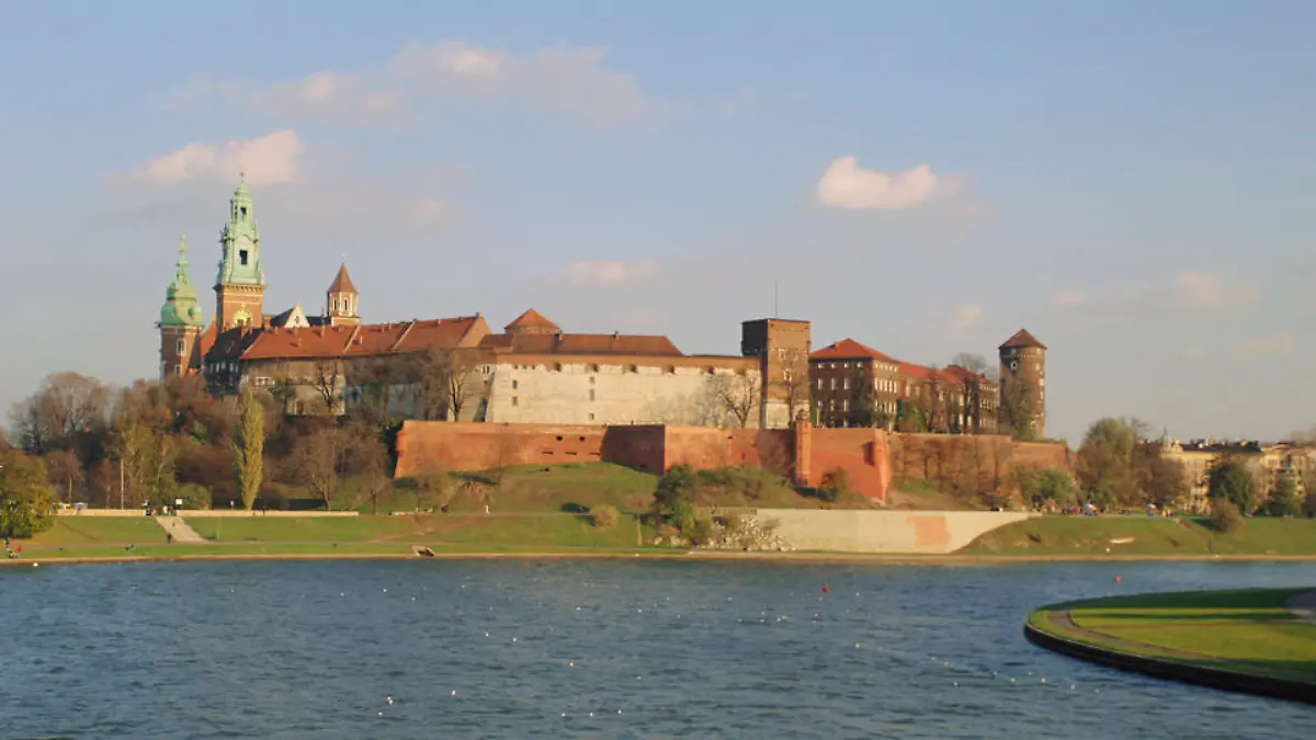 polen-t9616
