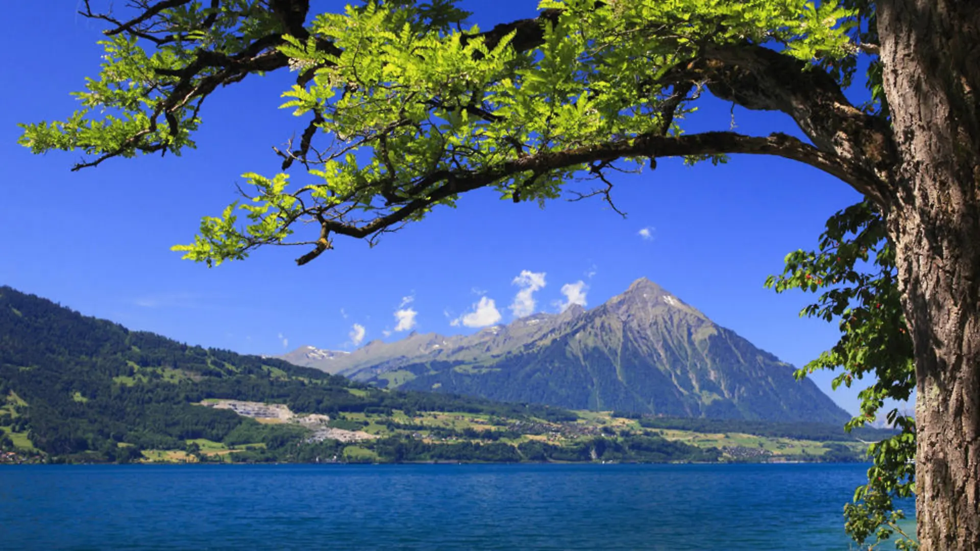 schweiz-t9614