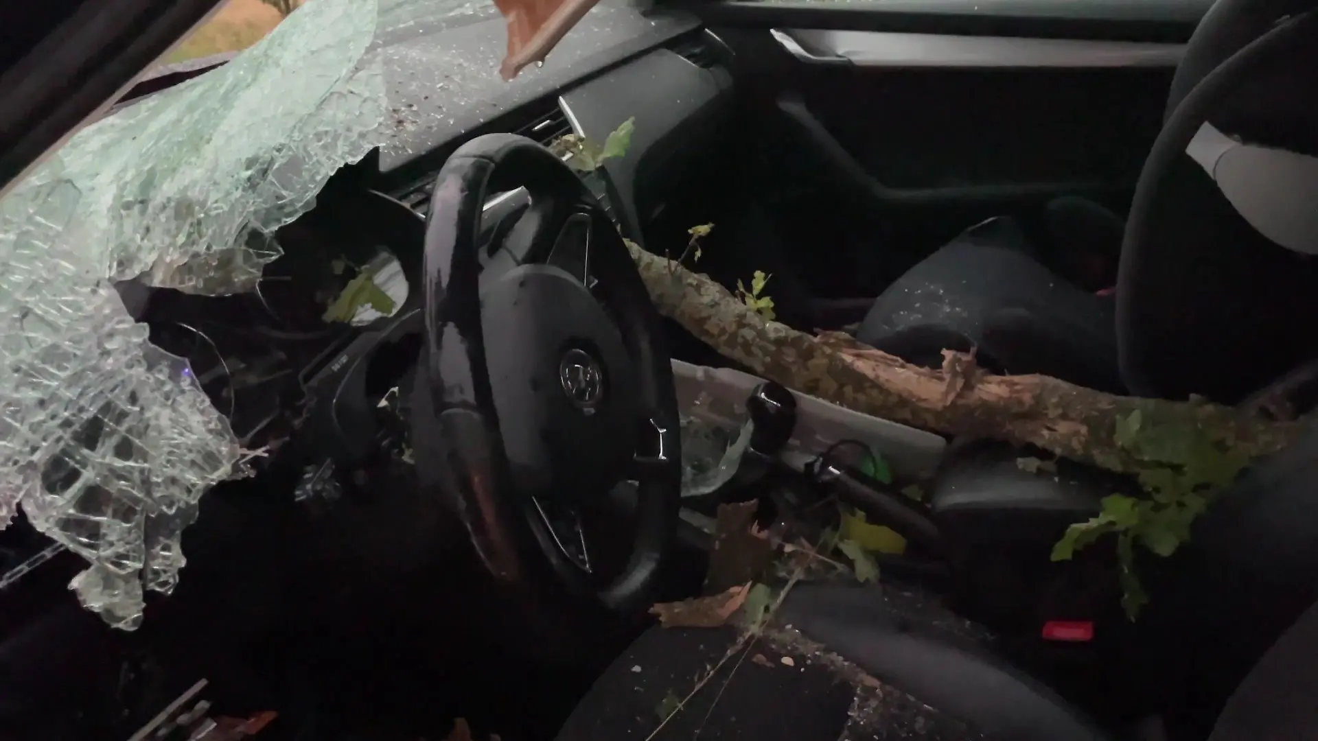 Ein Ast des Baumes bohrte sich mitten durch das Auto.