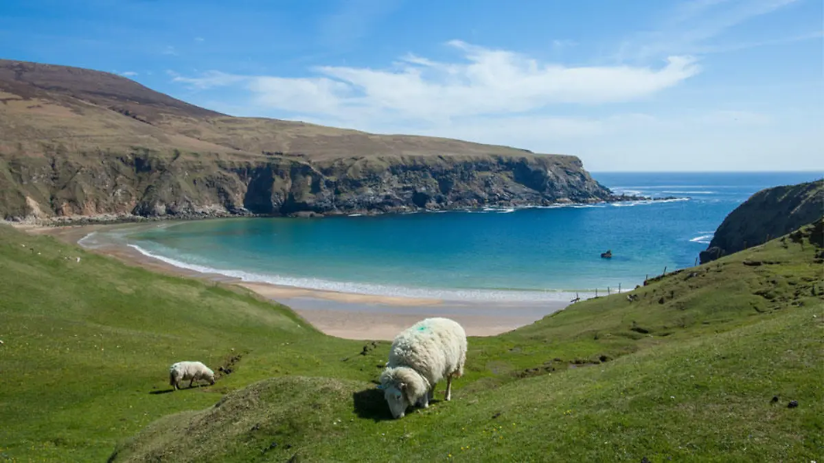 irland-t9649