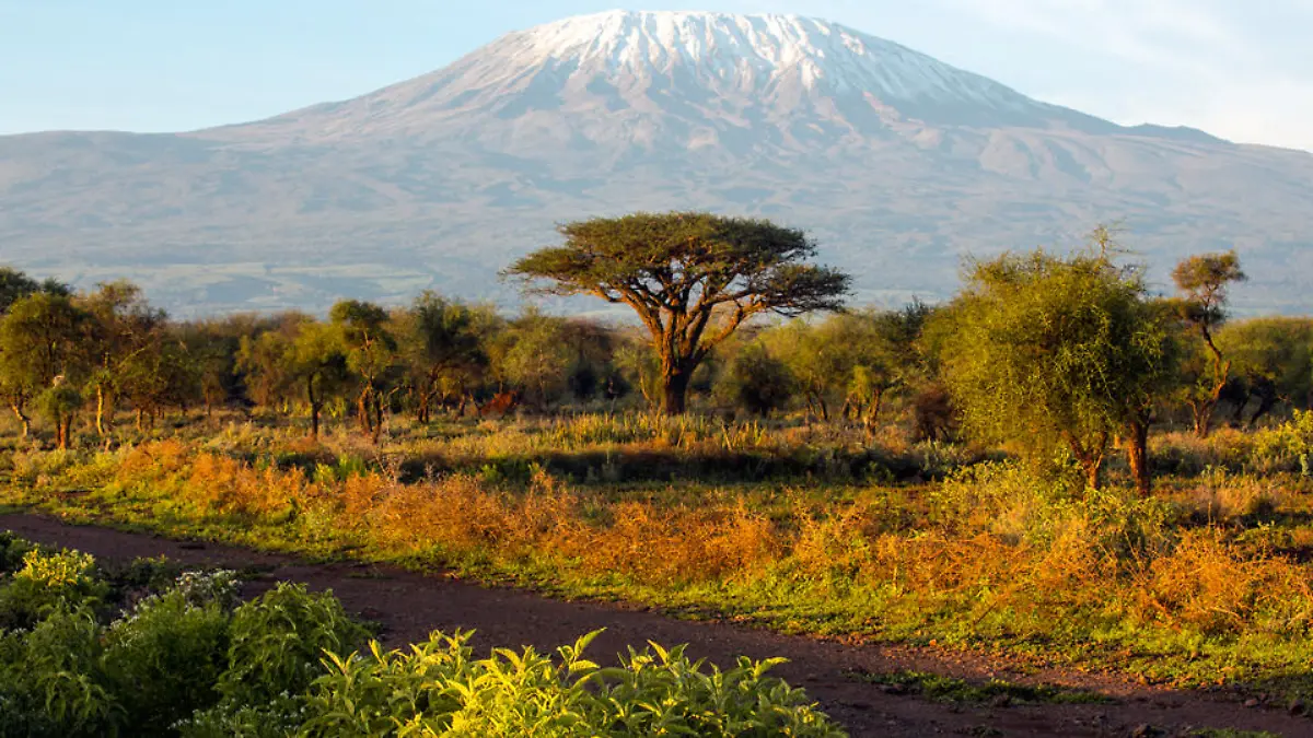 kenia-t9664