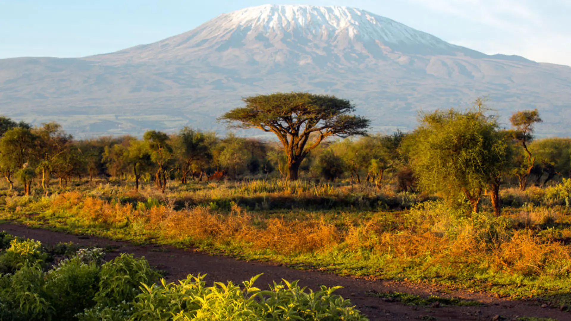 kenia-t9664