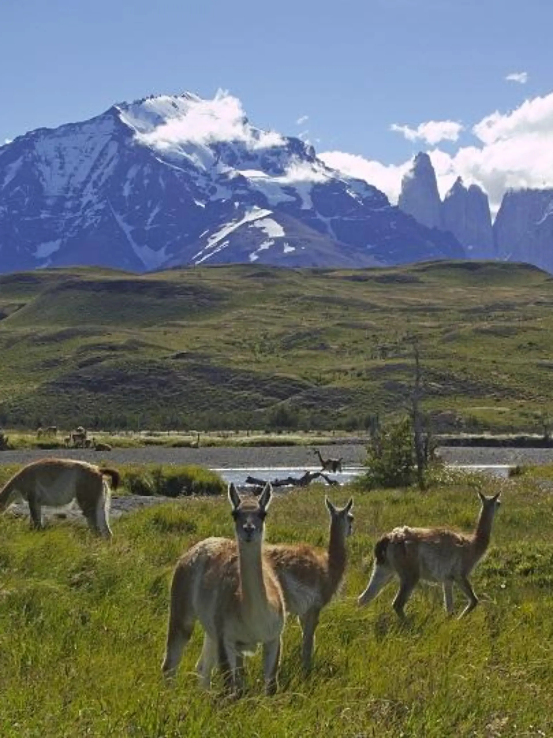 Bild zu: "Fünf Tote bei Schneesturm in Chile –  zwei Deutsche sterben im Nationalpark "