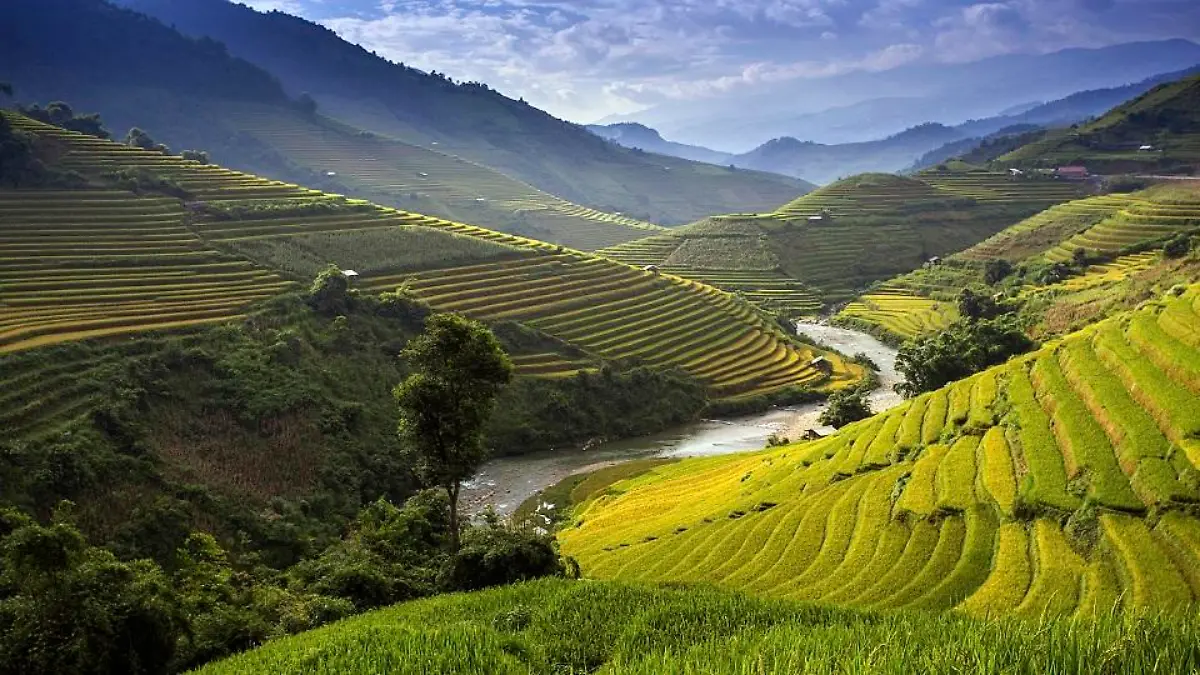 vietnam-t9682