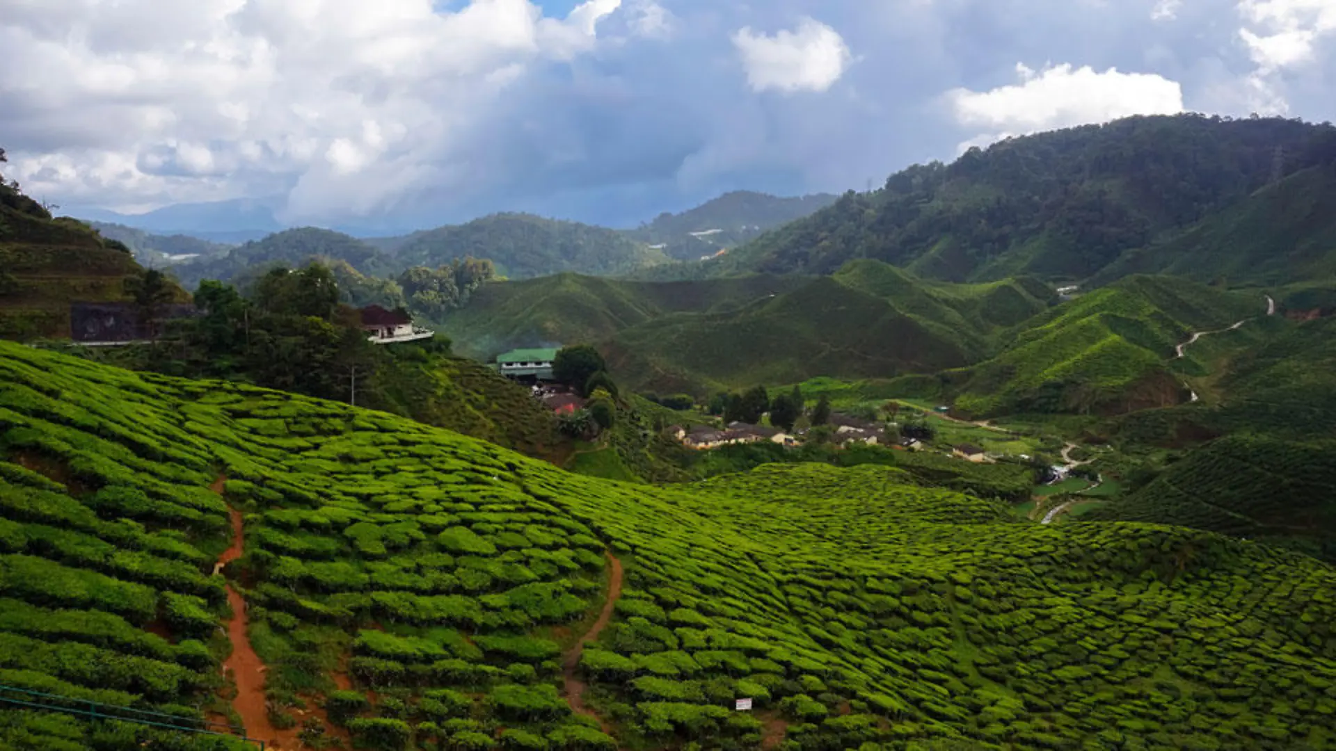 kamerun-t9689