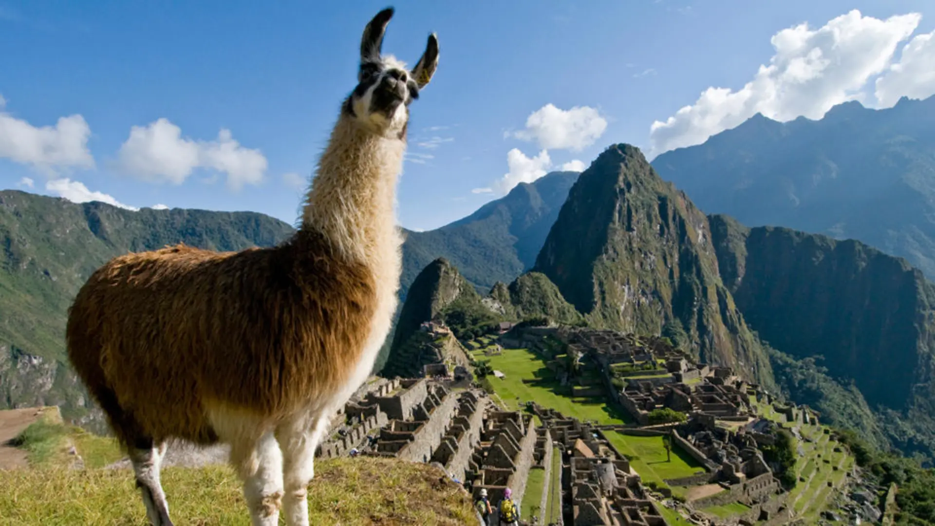 peru-t9690