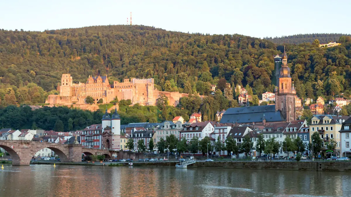 heidelberg-t9752