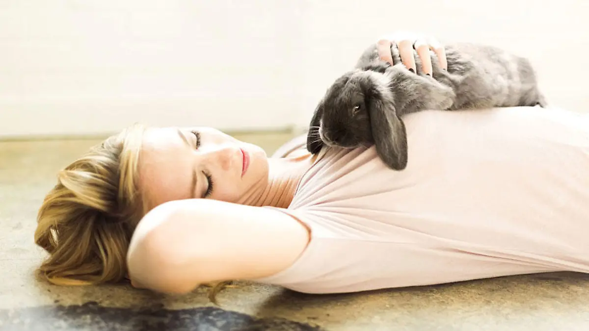 tiere-t10430