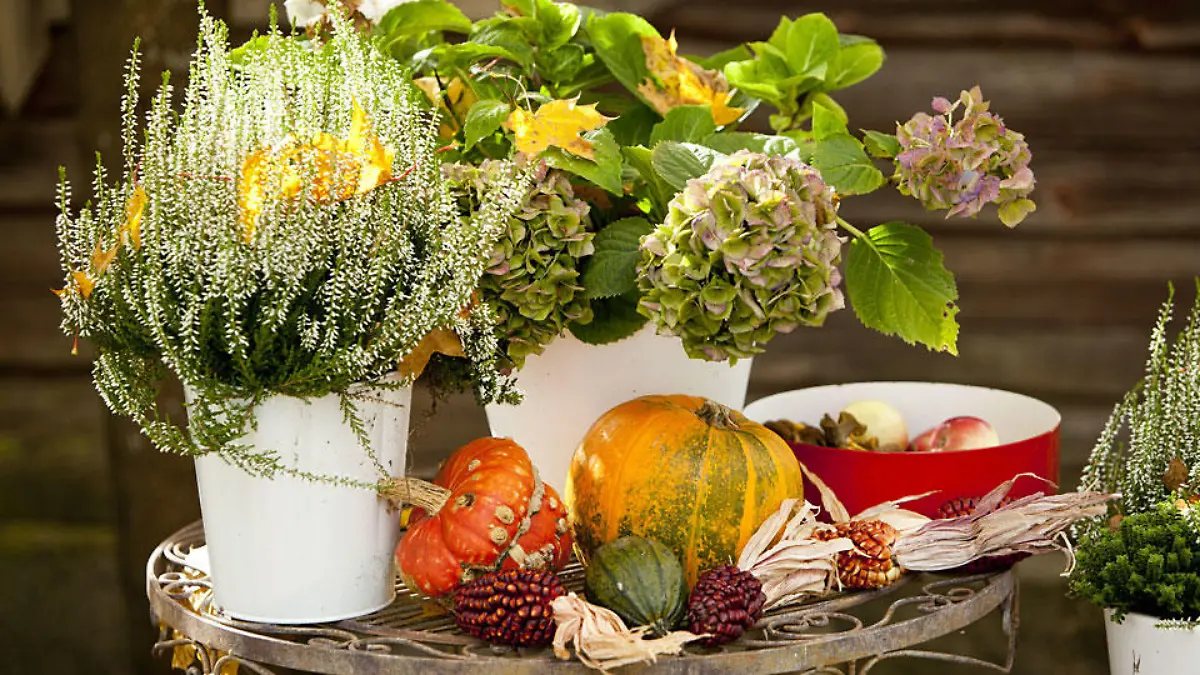 herbstdeko-t10517