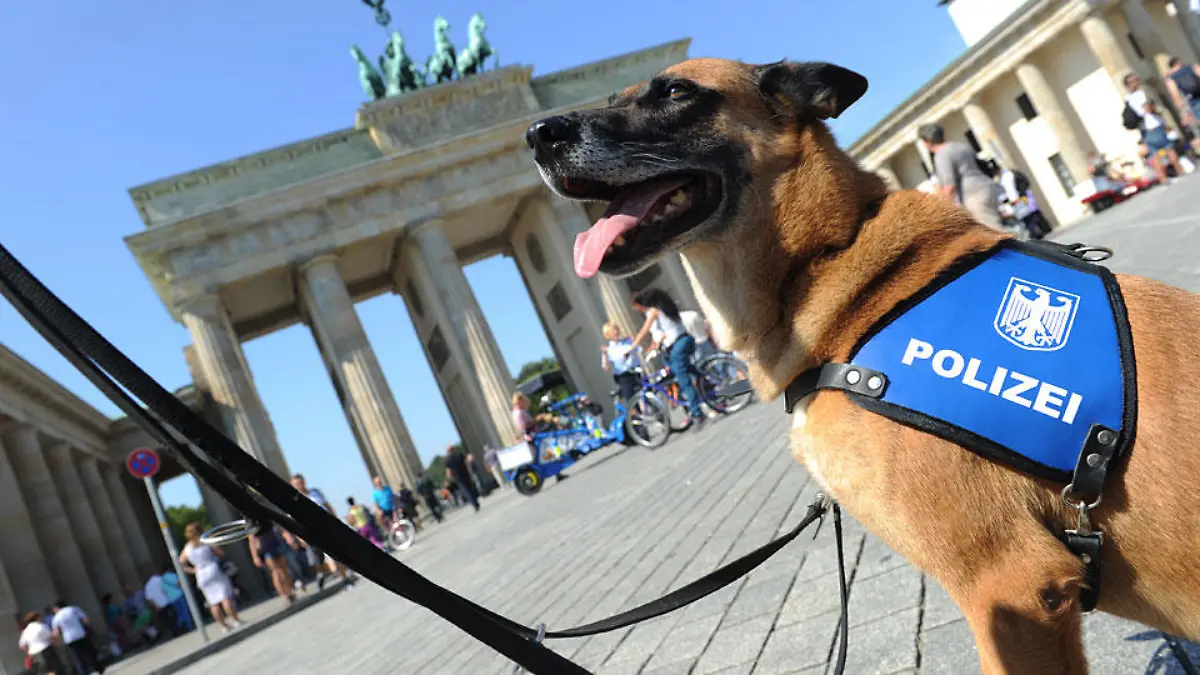 polizeihunde-t10703