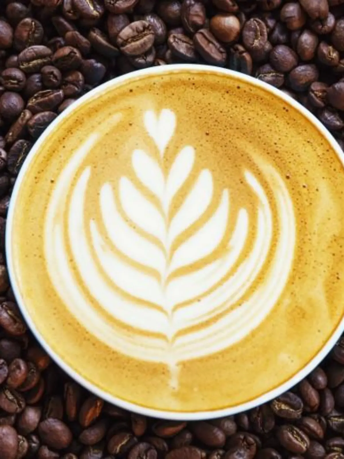 Bild zu: "Kaffee"